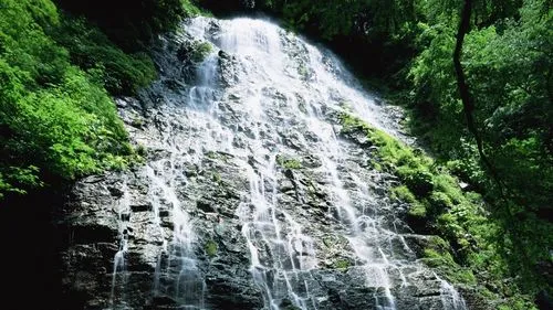 节能高标准智慧制造